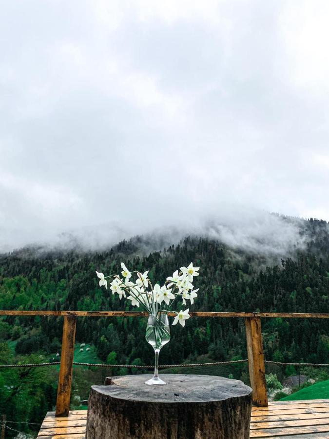 Mitarbi Silence - Cozy Holiday Cottages In Mountains Bordzjomi Buitenkant foto