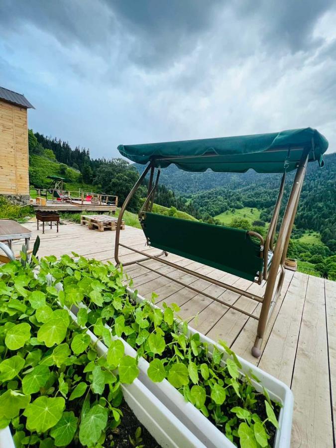 Mitarbi Silence - Cozy Holiday Cottages In Mountains Bordzjomi Buitenkant foto