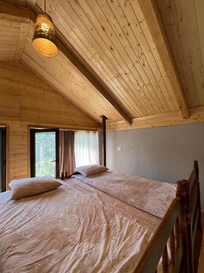 Mitarbi Silence - Cozy Holiday Cottages In Mountains Bordzjomi Buitenkant foto