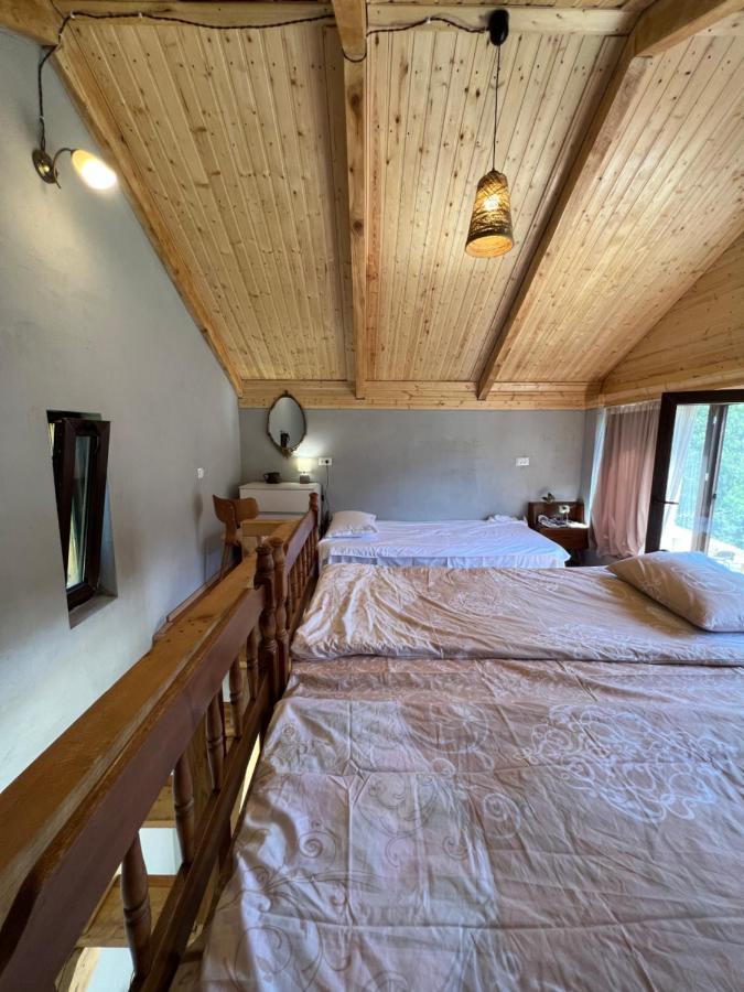 Mitarbi Silence - Cozy Holiday Cottages In Mountains Bordzjomi Buitenkant foto