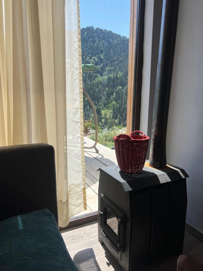 Mitarbi Silence - Cozy Holiday Cottages In Mountains Bordzjomi Buitenkant foto