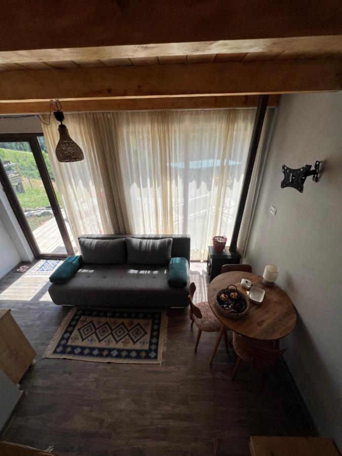 Mitarbi Silence - Cozy Holiday Cottages In Mountains Bordzjomi Buitenkant foto