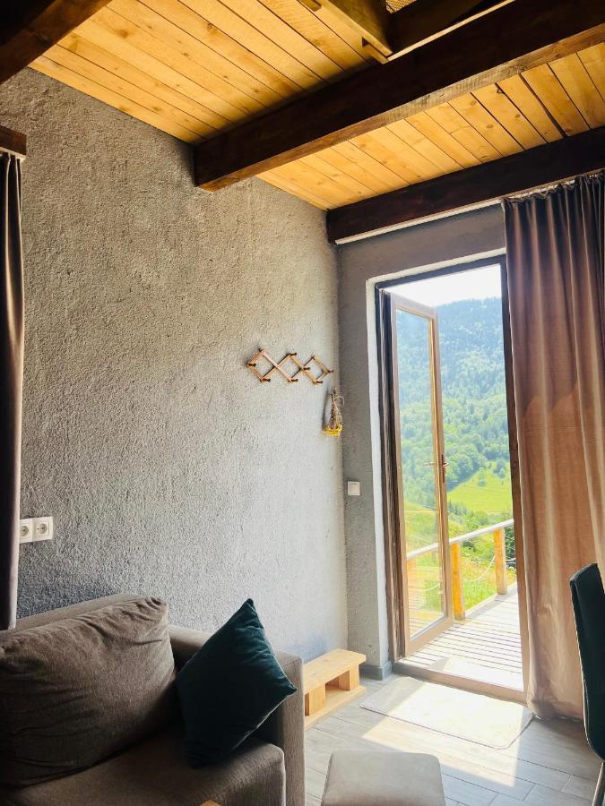 Mitarbi Silence - Cozy Holiday Cottages In Mountains Bordzjomi Buitenkant foto