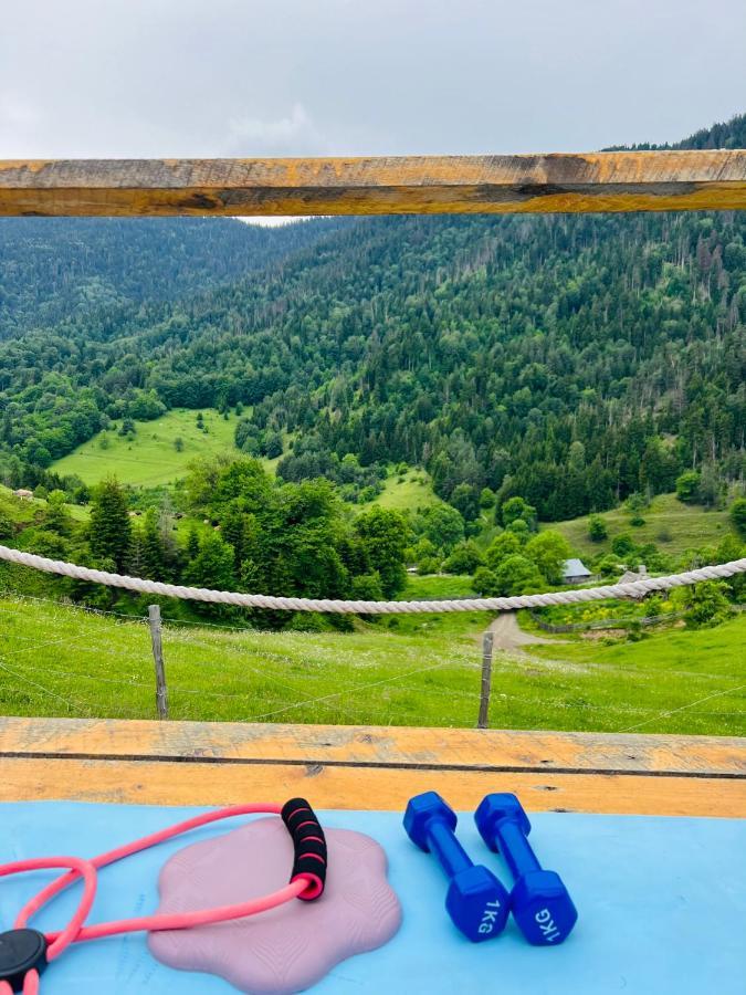 Mitarbi Silence - Cozy Holiday Cottages In Mountains Bordzjomi Buitenkant foto